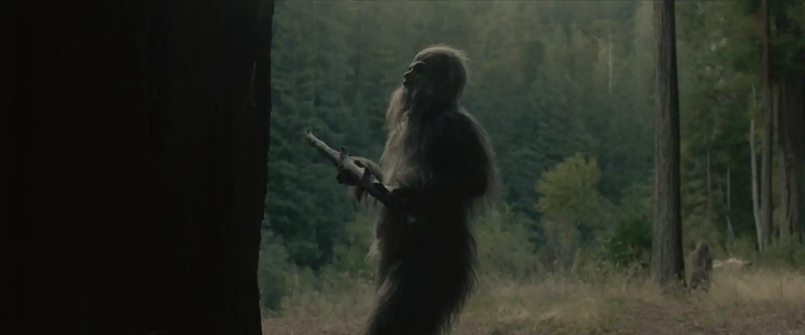 Sasquatch Sunset Screenshot 1