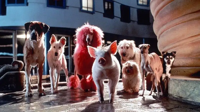 Babe Pig In The City Screenshot 1