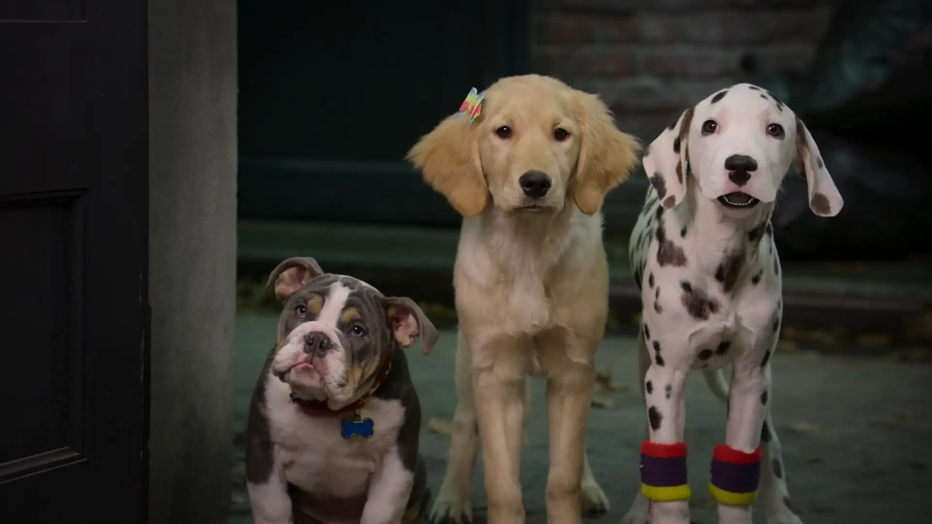 Phantom Pups Screenshot 4