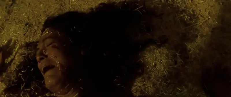 Gauraiya Screenshot 2