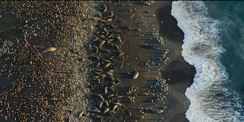Our Oceans Screenshot 4
