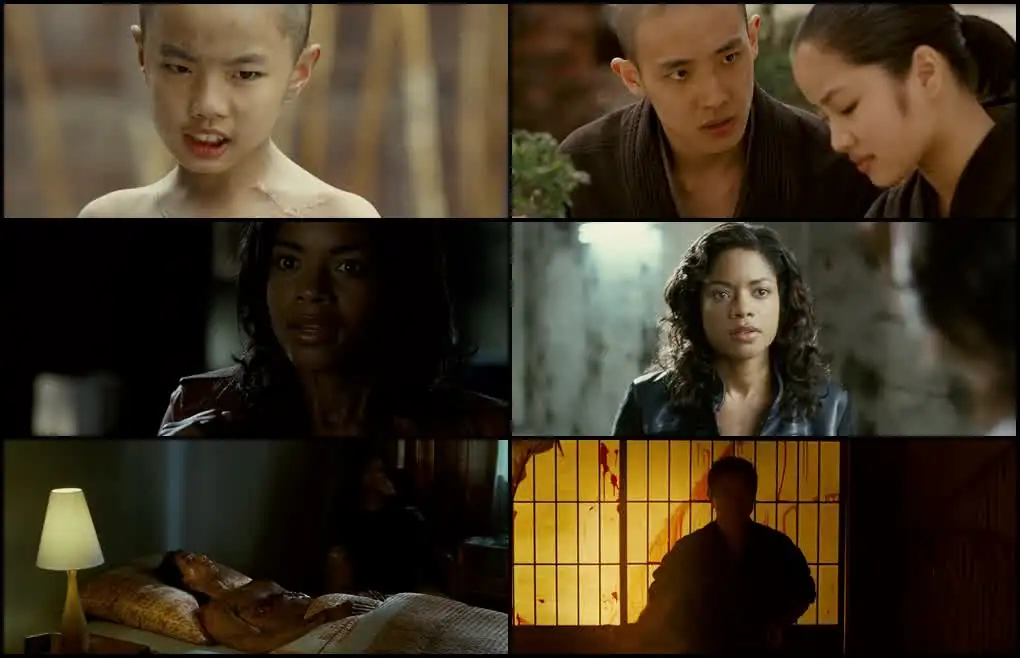 Ninja Assassin Screenshot 1