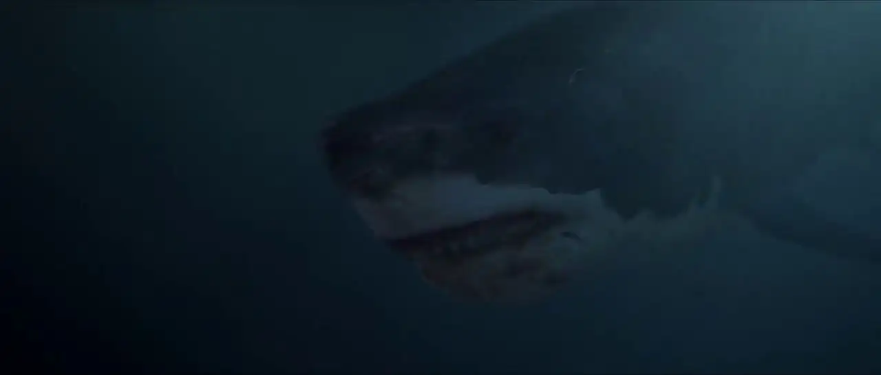The Shallows Screenshot 1 The Shallows Screenshot 1