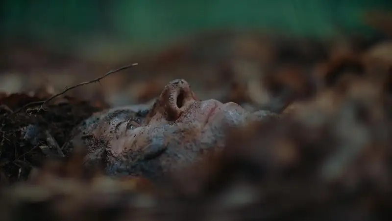 The Woods Are Real Screenshot 3
