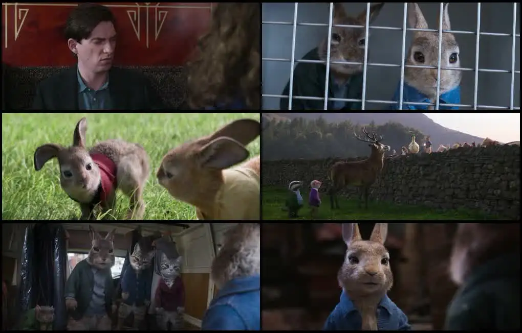 Peter Rabbit 2: The Runaway Screenshot 1