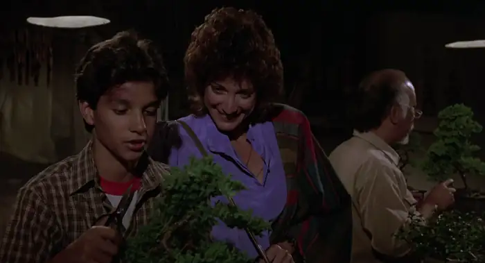 The Karate Kid Screenshot 2