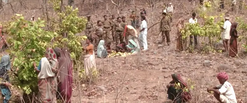 Gauraiya Screenshot 1