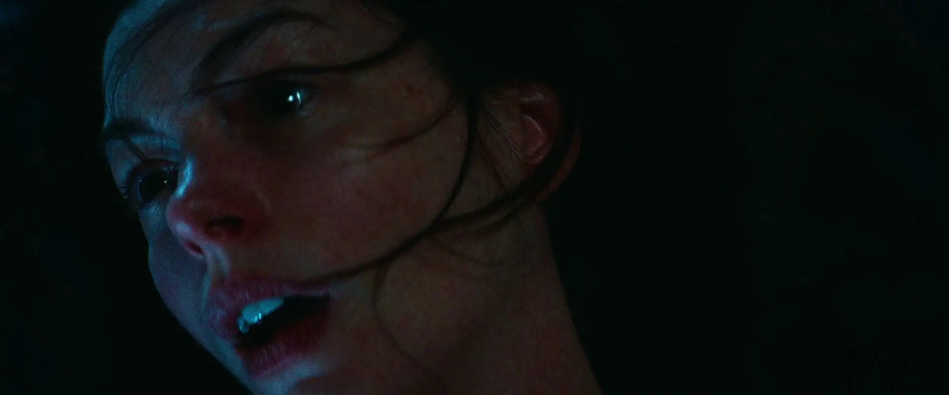 Verity Screenshot 7