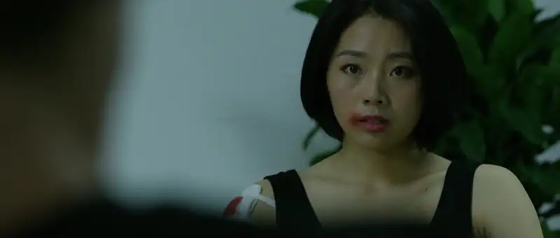 Vixen Screenshot 3