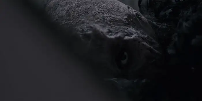 Ghost Stories Screenshot 4