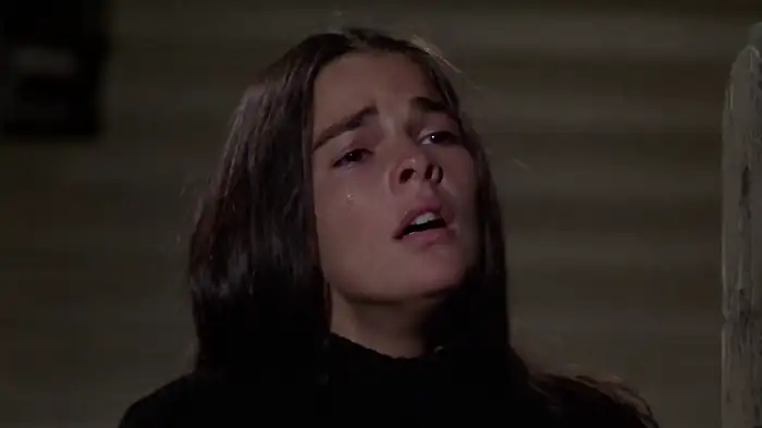 Love Story Screenshot 3