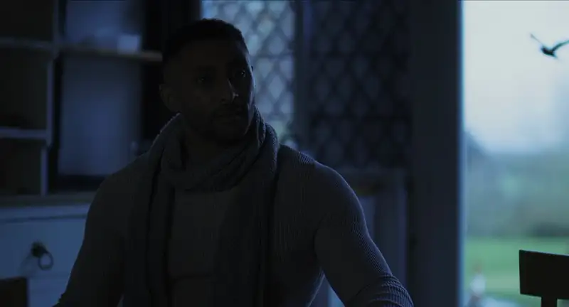 Spider In The Attic Screenshot 4