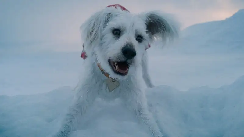 Superman Screenshot 5