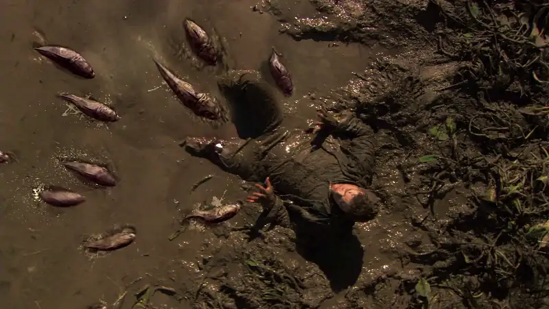 Frankenfish Screenshot 4