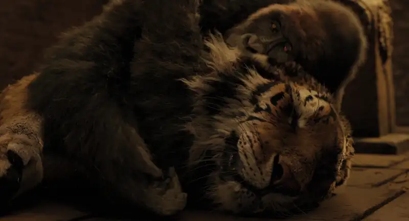 Dolittle Screenshot 4
