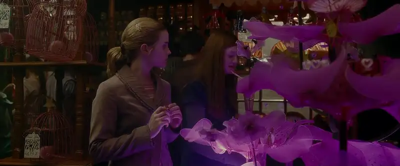 Harry Potter and the Half-Blood Prince Screenshot 1