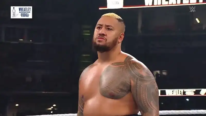 WWE SummerSlam Screenshot 4 WWE SummerSlam Screenshot 4