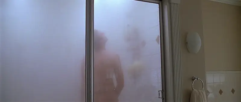 American Beauty Screenshot 1