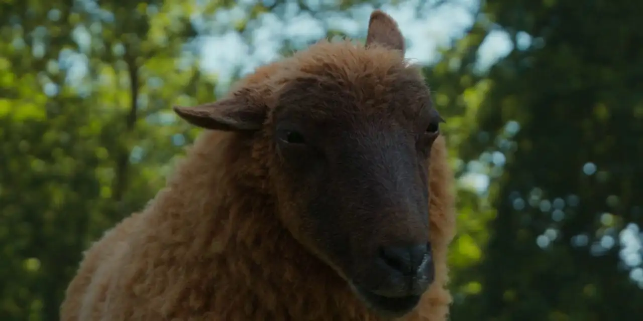 The Sheep Detectives Screenshot 2