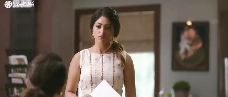 Sailaja Reddy Alludu Screenshot 2