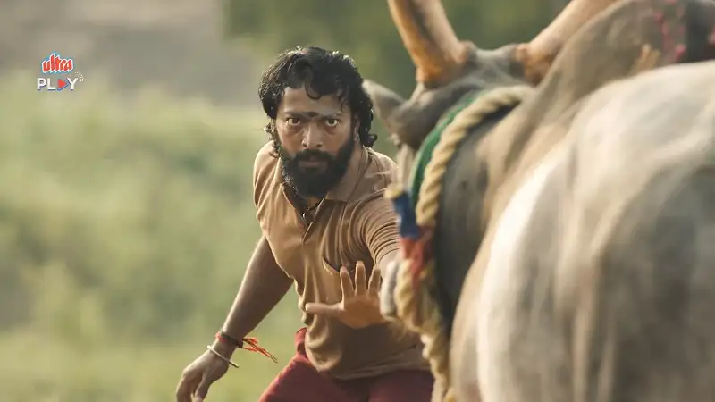 Bullfight Screenshot 3