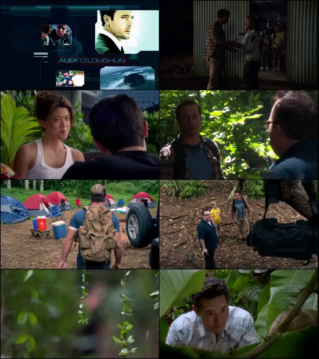 Hawaii Five-0 Screenshot 1 Hawaii Five-0 Screenshot 1
