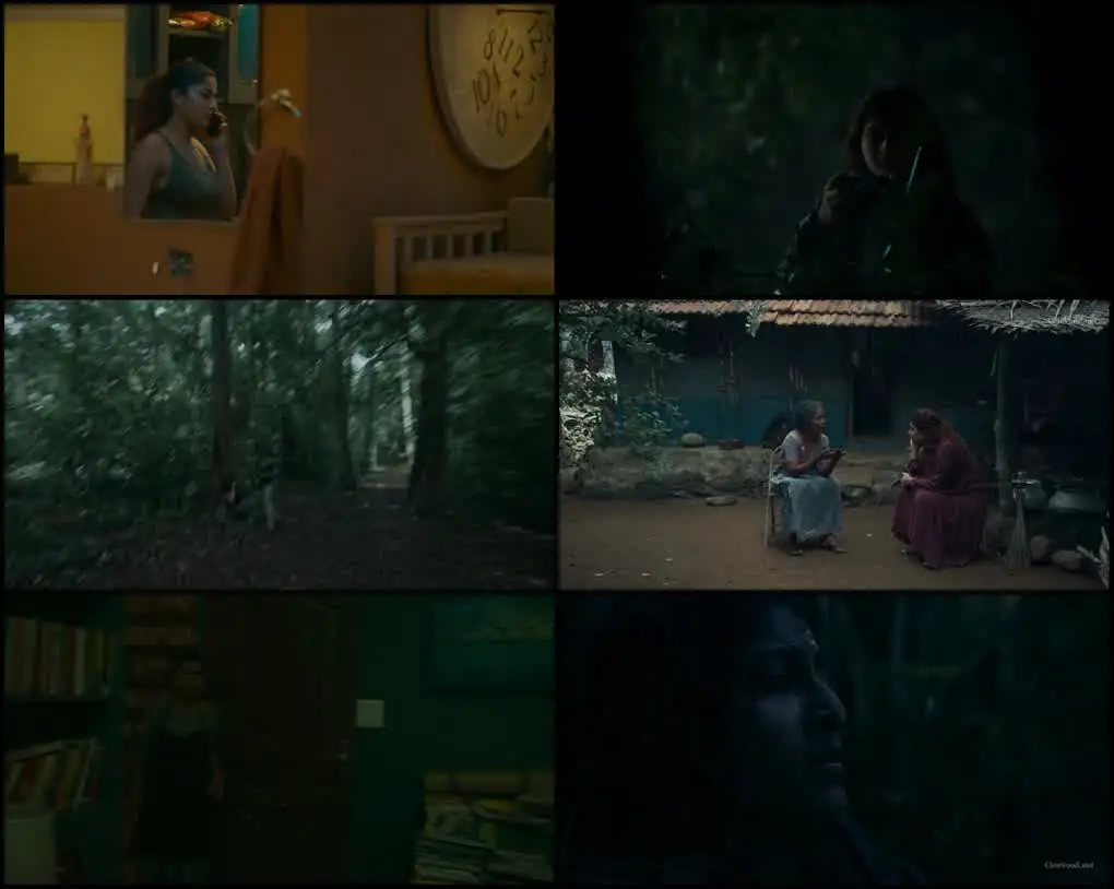 Footage Screenshot 1
