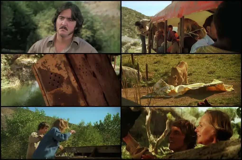 Roar Screenshot 1 Roar Screenshot 1