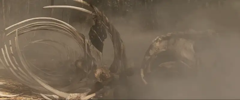 65 Screenshot 4