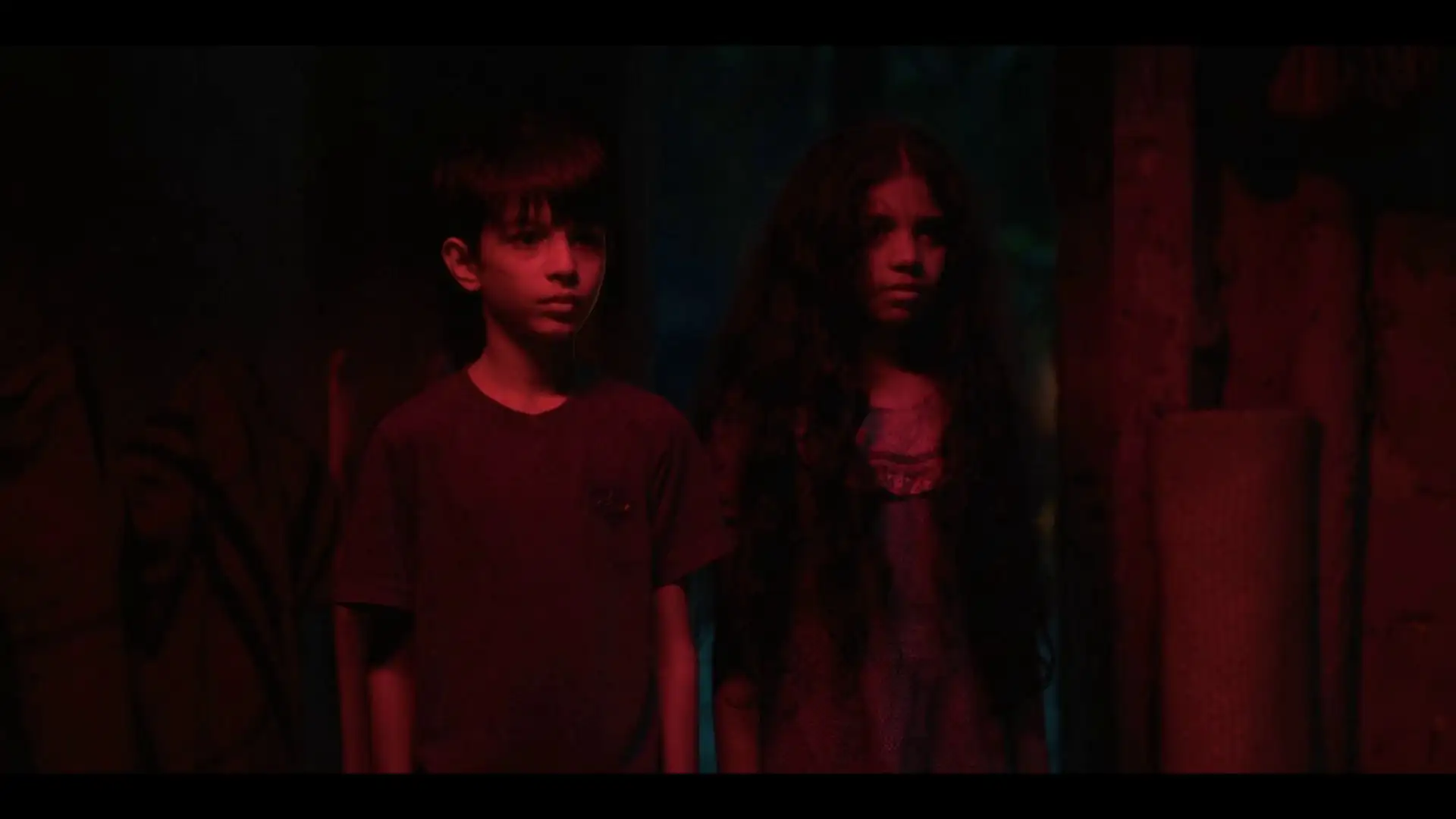 Anjaan Saaye Screenshot 5