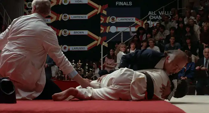 The Karate Kid Screenshot 5
