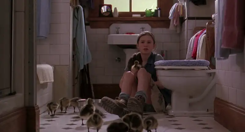 Fly Away Home Screenshot 4