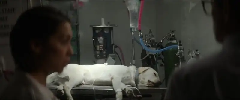 Dog Gone Screenshot 2 Dog Gone Screenshot 2