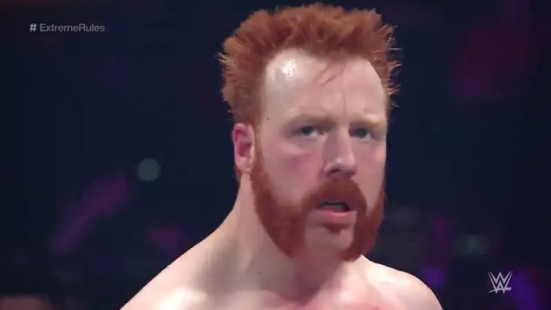 WWE Extreme Rules Screenshot 2 WWE Extreme Rules Screenshot 2