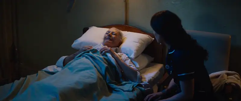 The Secret Scripture Screenshot 1