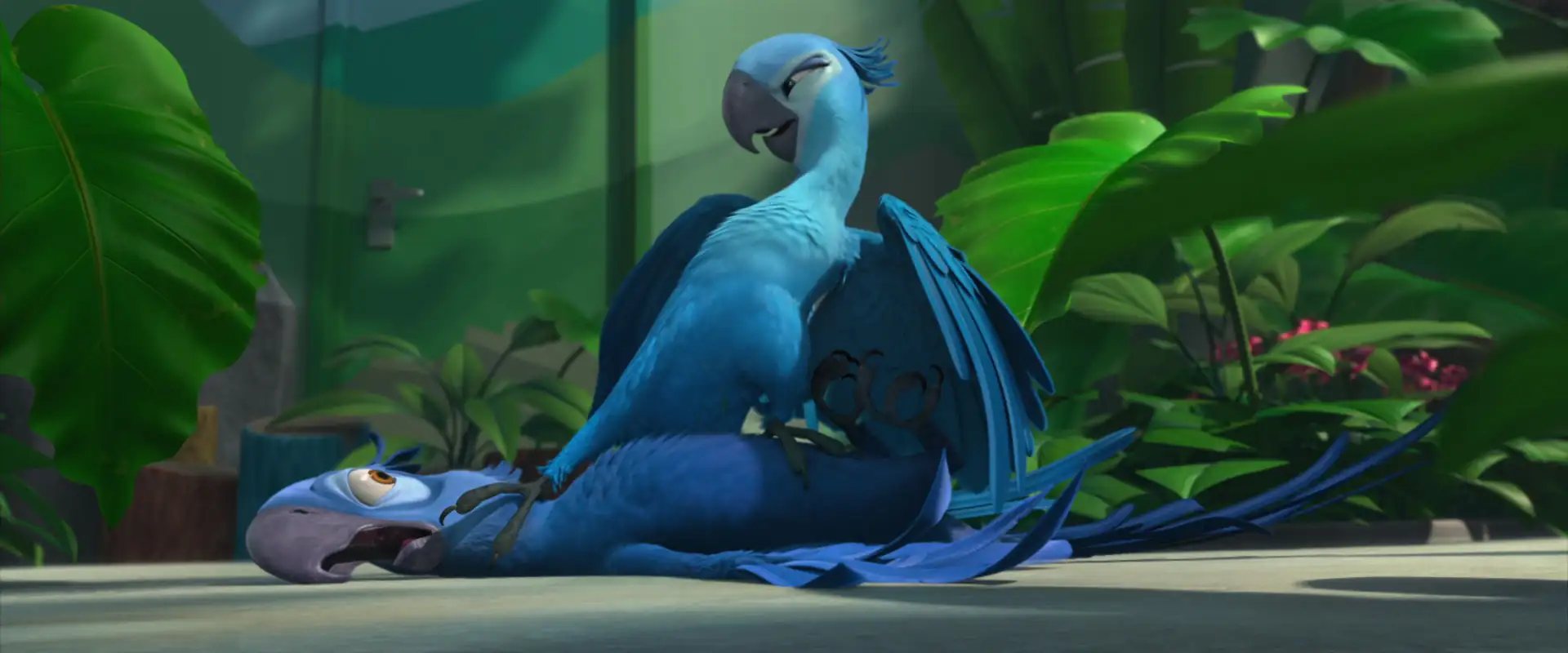 Rio Screenshot 3