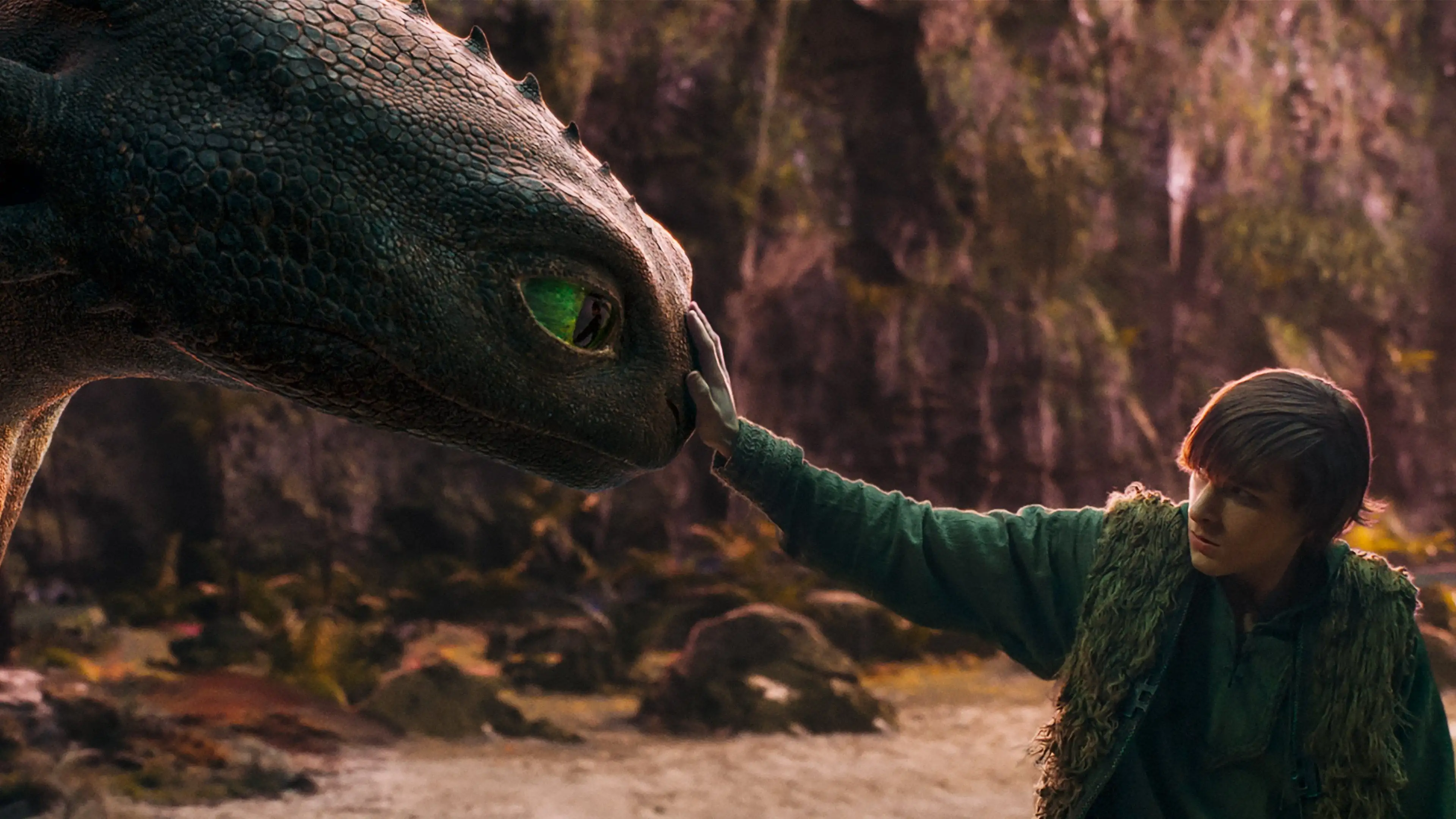 How to Train Your Dragon Screenshot 2
