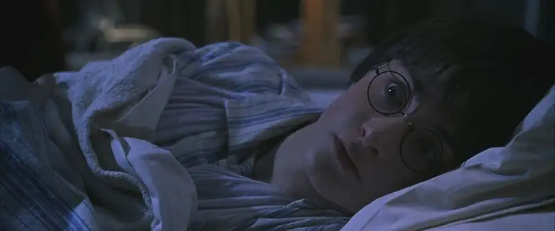 Harry Potter and the Chamber of Secrets Screenshot 2