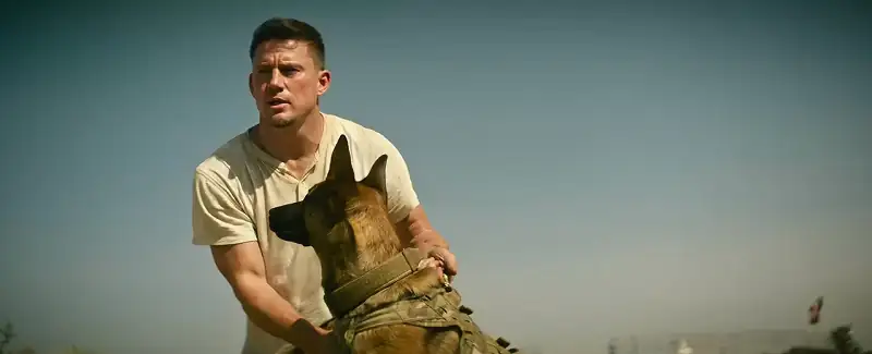 Dog Screenshot 6