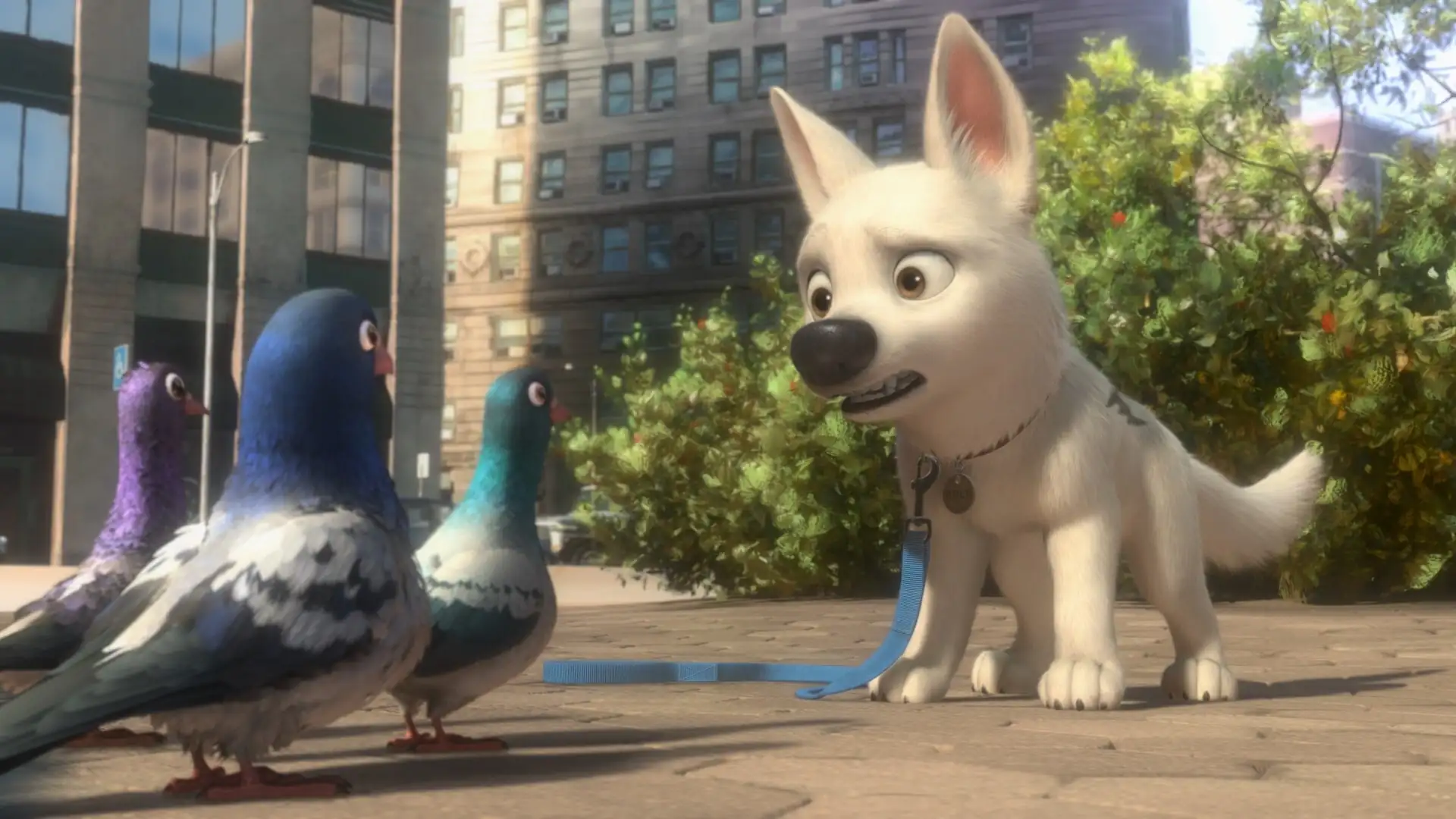 Bolt Screenshot 4
