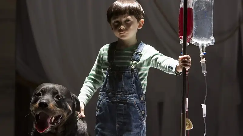 The Omen Screenshot 2
