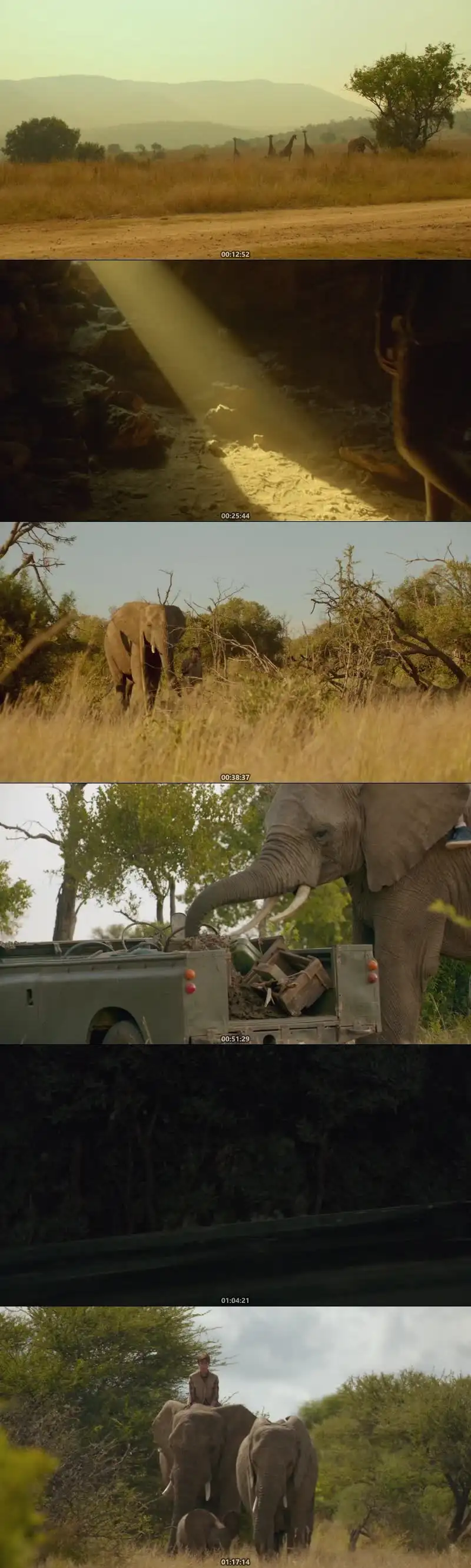 An Elephant’s Journey Screenshot 1 An Elephant’s Journey Screenshot 1
