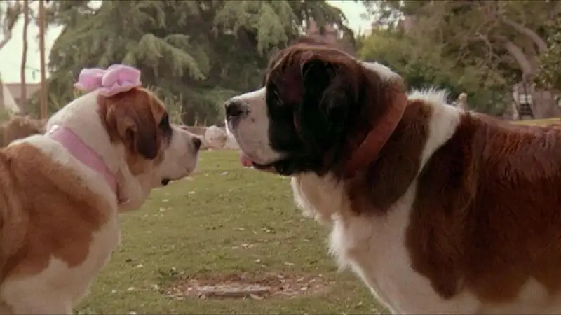 Beethoven’s 2nd Screenshot 1 Beethoven’s 2nd Screenshot 1