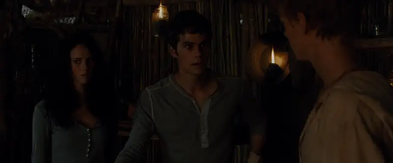The Maze Runner Screenshot 5 The Maze Runner Screenshot 5