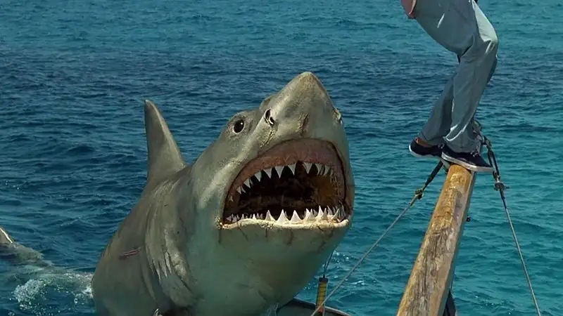 Jaws: The Revenge Screenshot 3