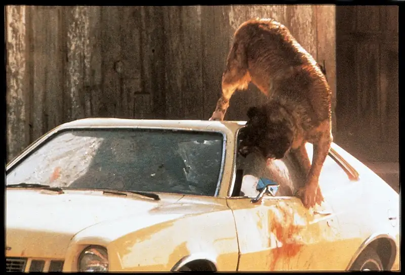 Cujo Screenshot 3