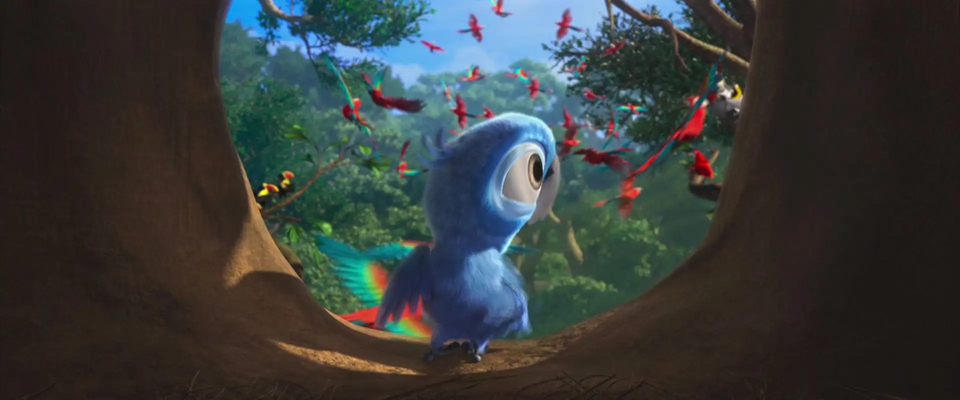 Rio Screenshot 1