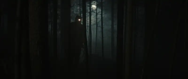 The Silent Forest Screenshot 2