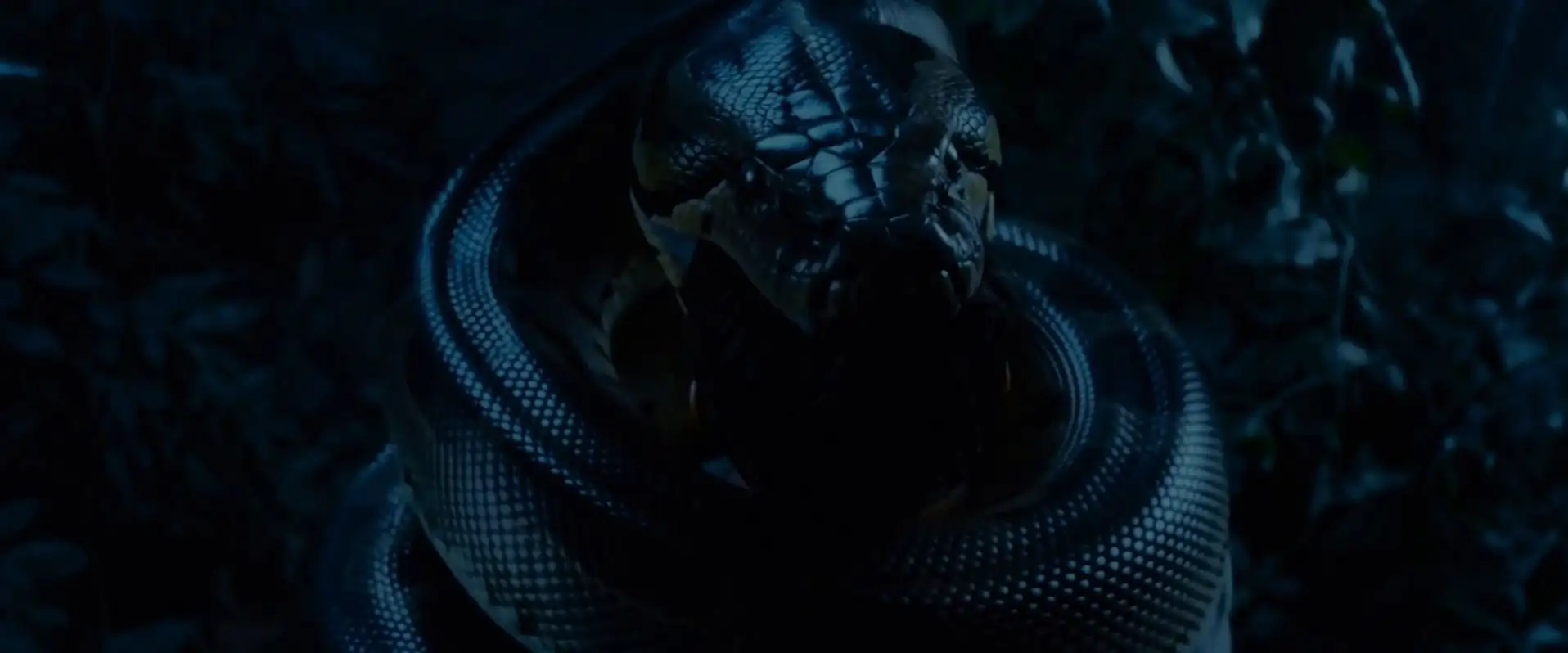 The Anacondas Screenshot 4