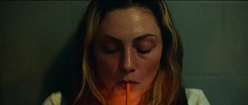 Boy Swallows Universe Screenshot 4